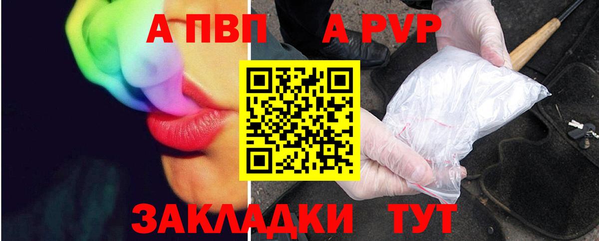 A PVP крисы CK Луга
