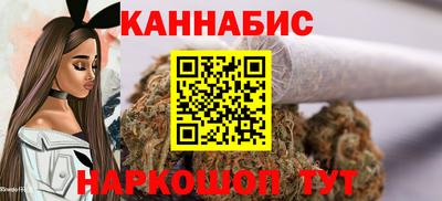 гидра Будённовск