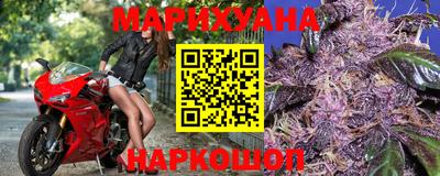 гидра Будённовск
