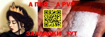 гидра Будённовск
